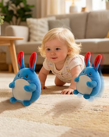 Baby Toys 6-12 Months