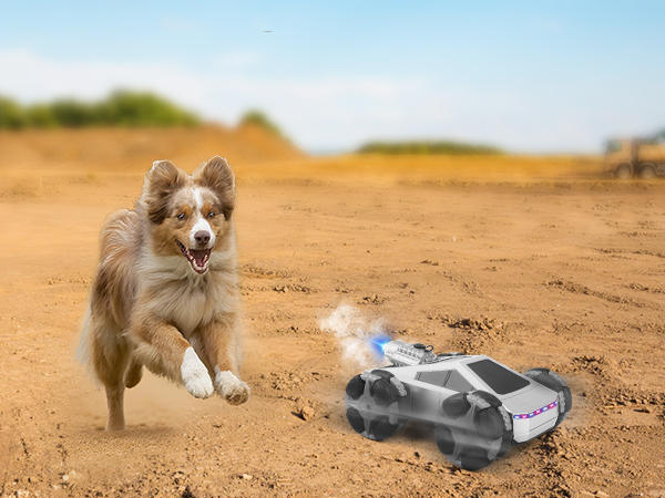 remote control car