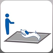 Training Pads for Dog dog training pee training