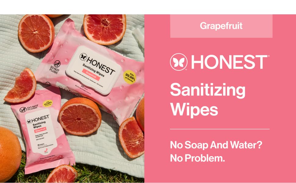 GG Sani Wipe