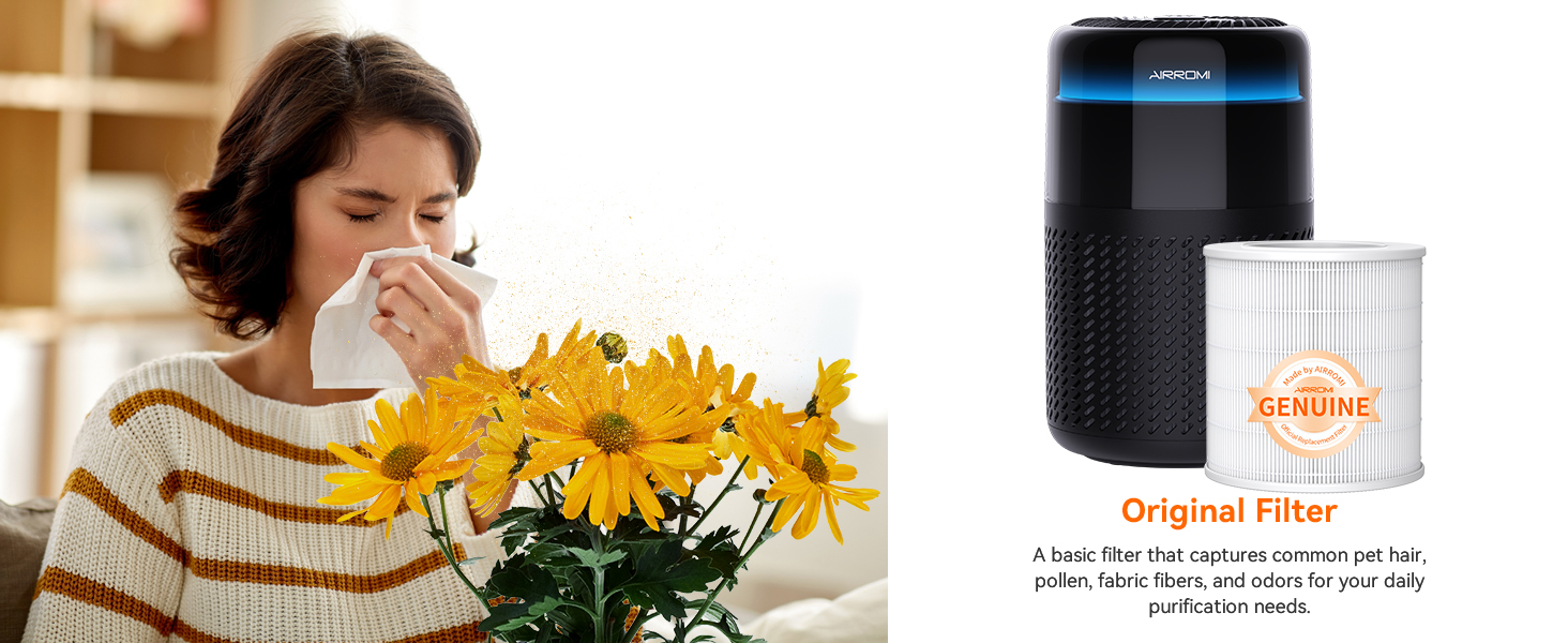 Air purifier filter
