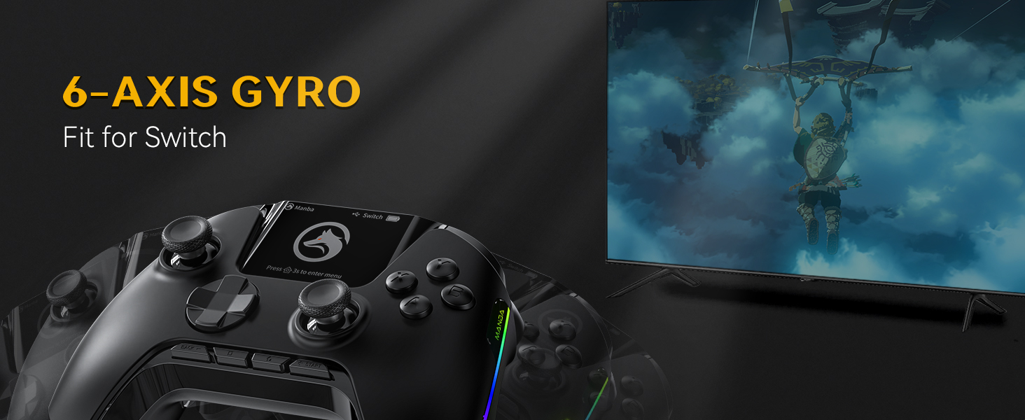 6-AXIS GYRO for Switch