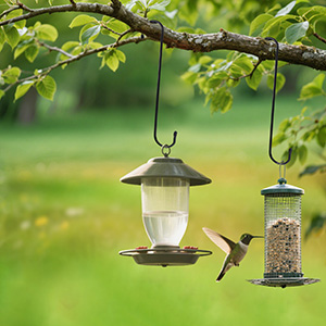 Suitable for Hanging Bird Feeder