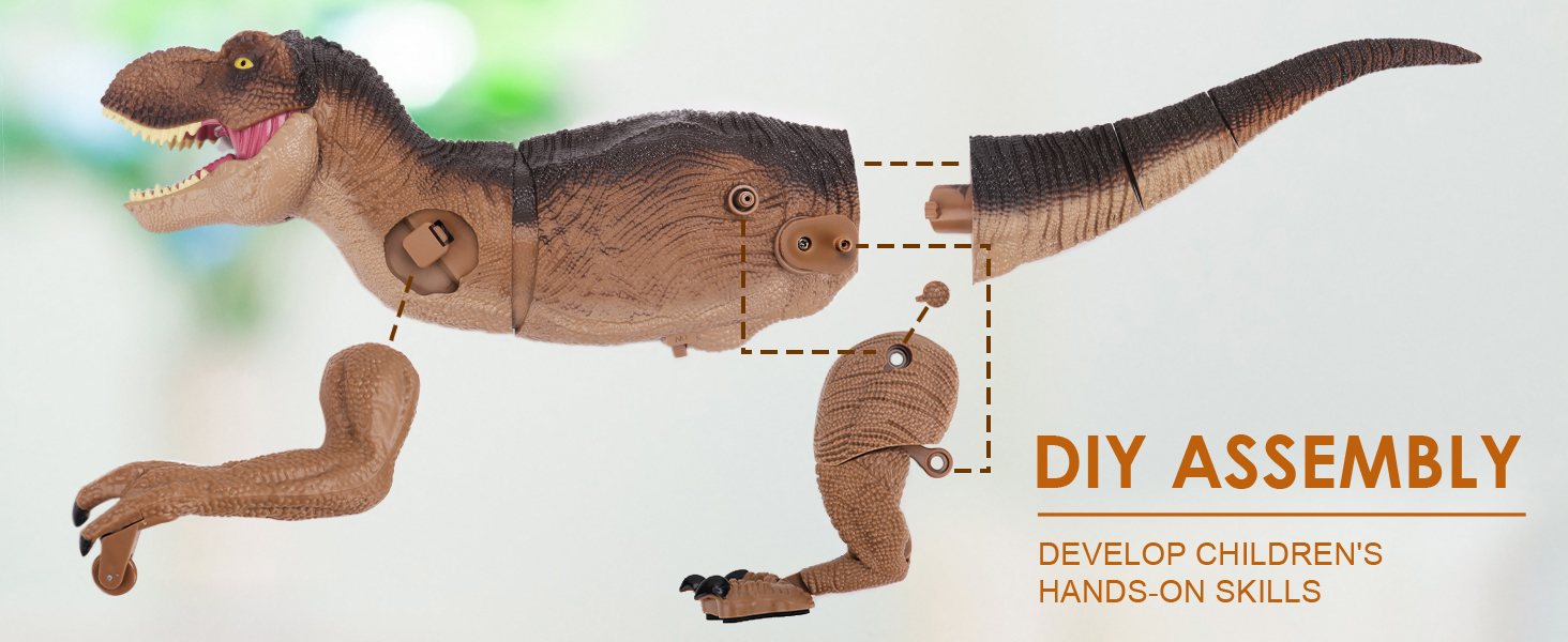 DIY Assembly - Install the T-Rex