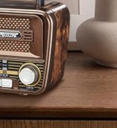 vintage retro am fm radio portable