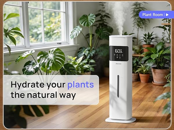 humidifier for plants
