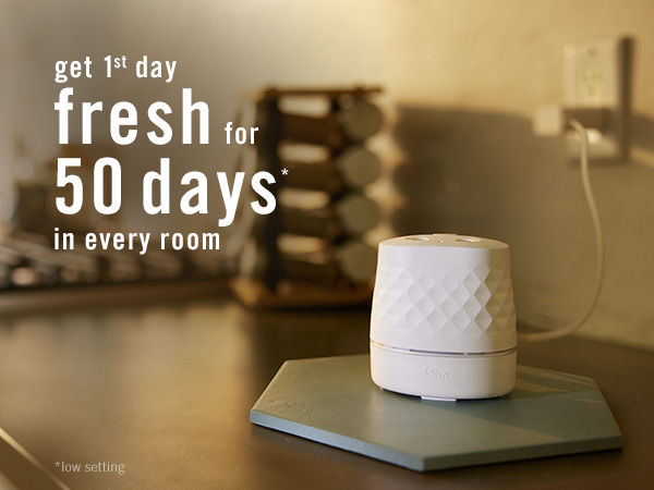 Febreze Plug Scent Boost Module 3 image 3 Kitchen