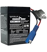 Schumacher TB1 4.5Ah 6V Rechargeable Replacement Battery for Kid Trax Ride-On Toys