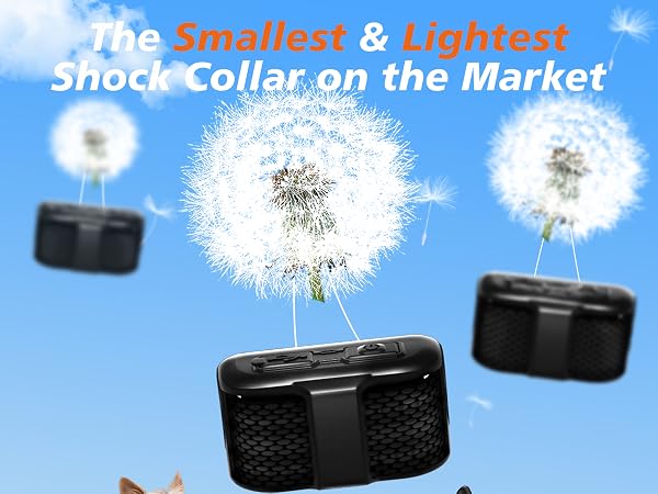 dog training collar with remote dog collars for small dogs