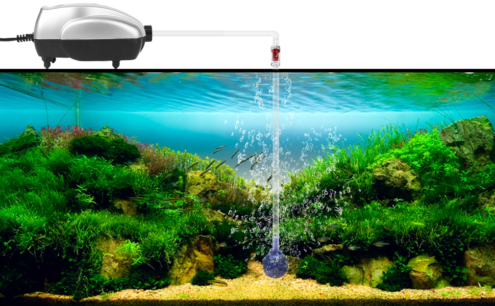 air pump aquarium