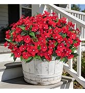 Ouddy Decor 6 Bundles Artificial Flowers for Outdoors Decorations, Fake Silk Flowers Faux Plants ...