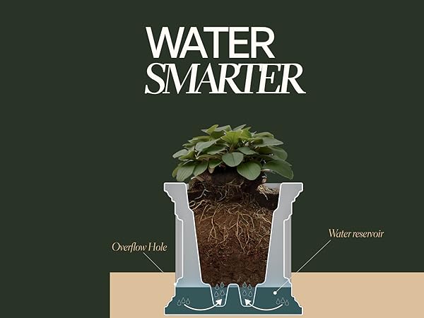 Water Smarter