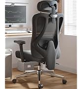 Hbada P3 Ergonomic Office Chair with 2D Adjustable Lumbar Support, Office Chair with Adjustable H...