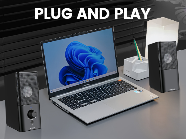 instant plug and play function