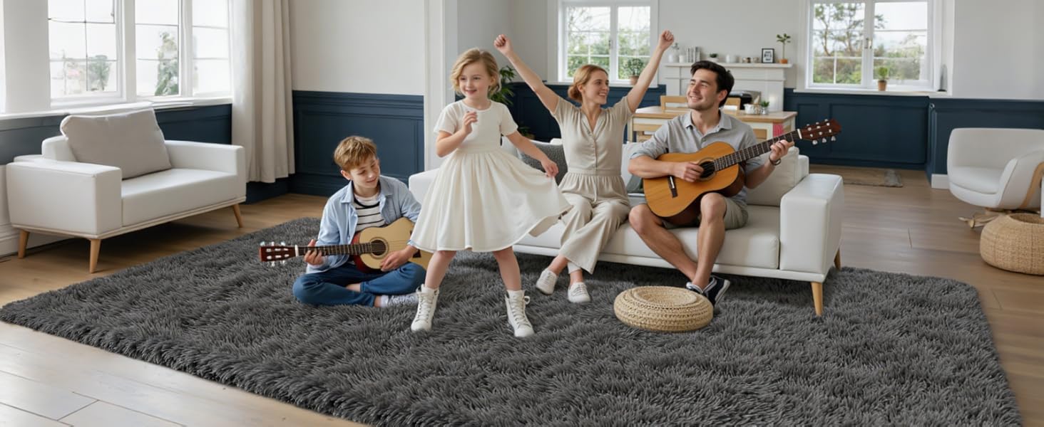 Area Rugs for Living Room Rug