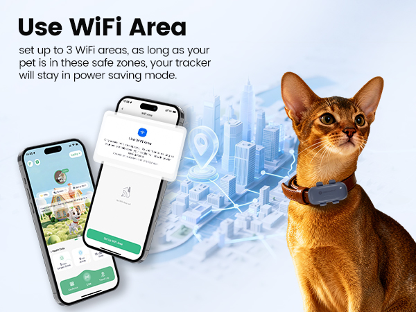 cat tracker
