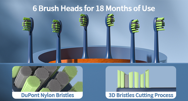 6 “W” Design Brush Heads for 18 Months of Use