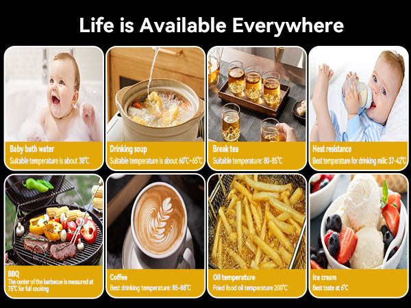 thermometer for cooking