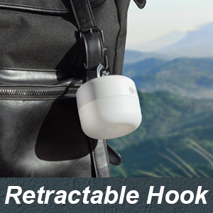 Hook