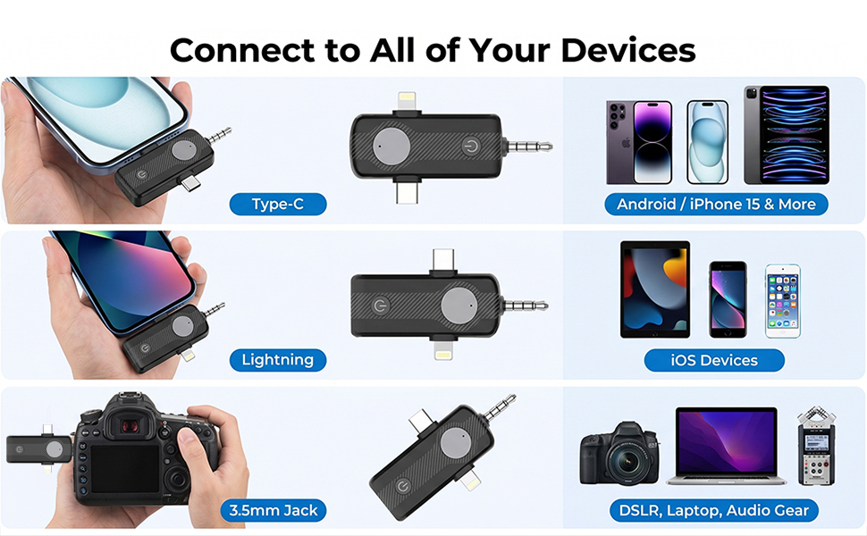 Mini Mic