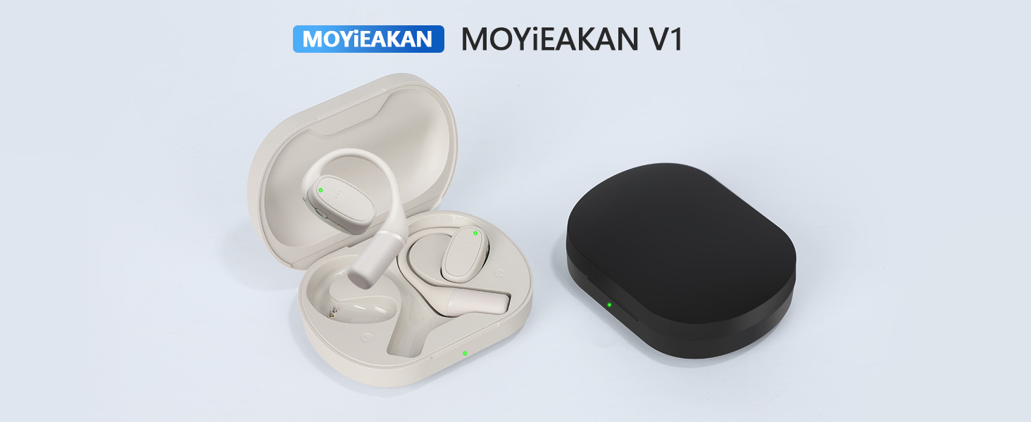 translation earbuds,ranslation earbuds real time,language translator earbuds