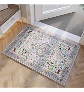 Rugcomf Entryway Rug 2x3 Rug Door Mat Indoor Entrance Washable Rug Small Non-Slip Low Pile Throw ...