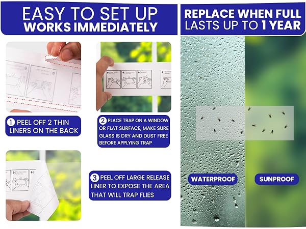 Easy to set up sticky fly traps for indoors. Work immediately. Replace after 1 year or when full.