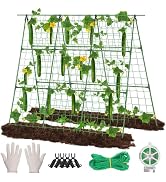 Homiton Cucumber Trellis for Raised Bed, 48