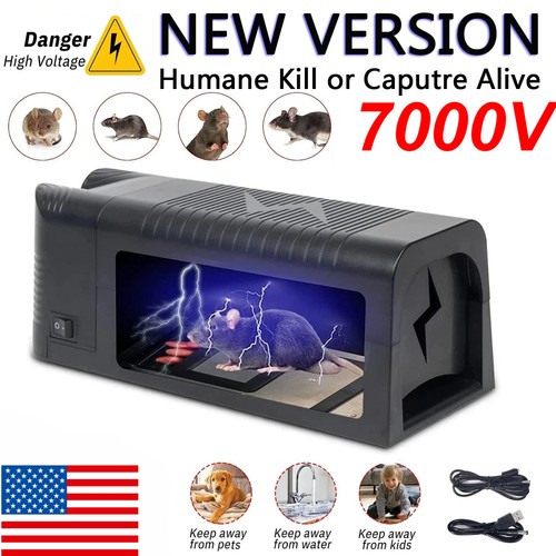 https://i.ebayimg.com/00/s/MTUwMFgxNTAw/z/058AAeSwILlpfFoo/$_12.JPG?set_id=880000500F