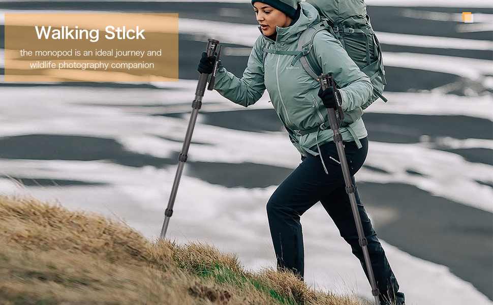 Monopod for Camera, 32mm Tube Carbon Fiber Monopod Unipod Stick Lightweight Portable Travel Monopod