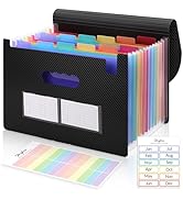 SKYDUE Accordion File Organizer, 13 Pockets File Folders, Letter Size Expanding File Folder with ...
