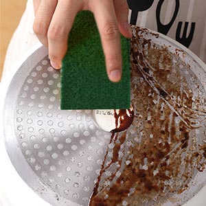 YoleShy Scouring Pad