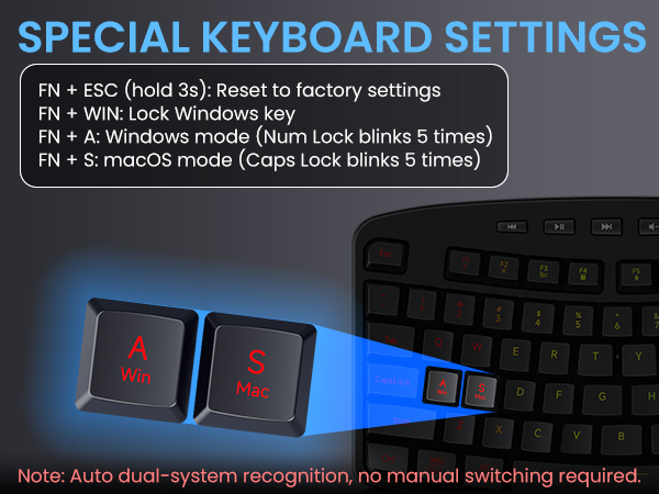 wireless keyboard ergonomic