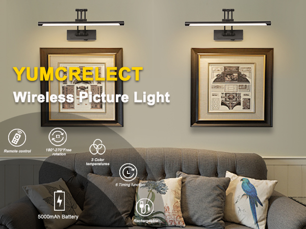 BATTEY POWED PICTURE LIGHT