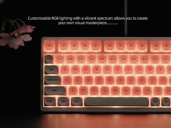 Pink Mechanical Gaming Keyboard 75% with Color Multimedia Display Jelly Keyboard Wired