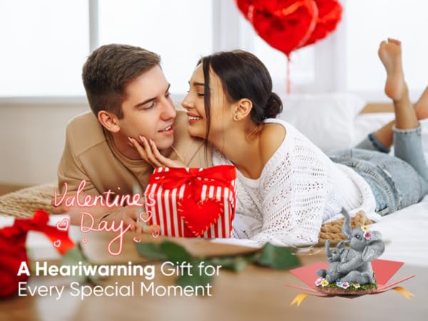 Valentine's Day Gift
