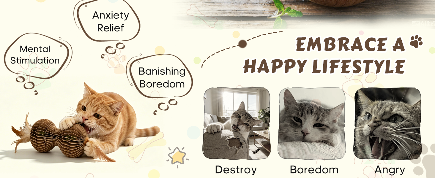 indoor cat toy