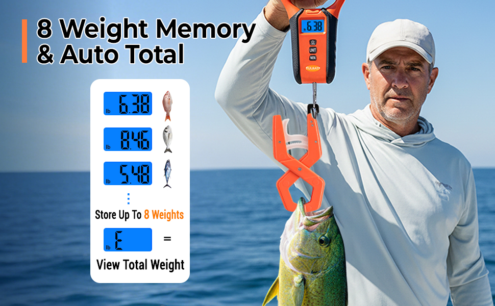 Fish Scale Digital Weight