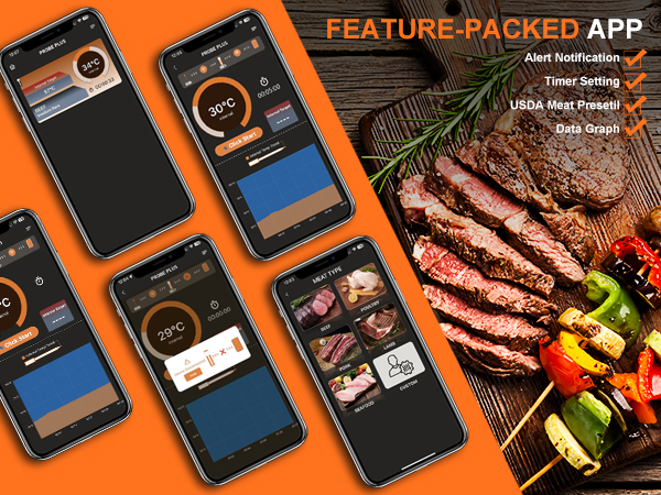 Plus Wireless Meat Thermometer Bluetooth with Probe for Grilling/Cooking