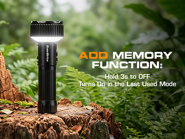MEMORY FUNCTION