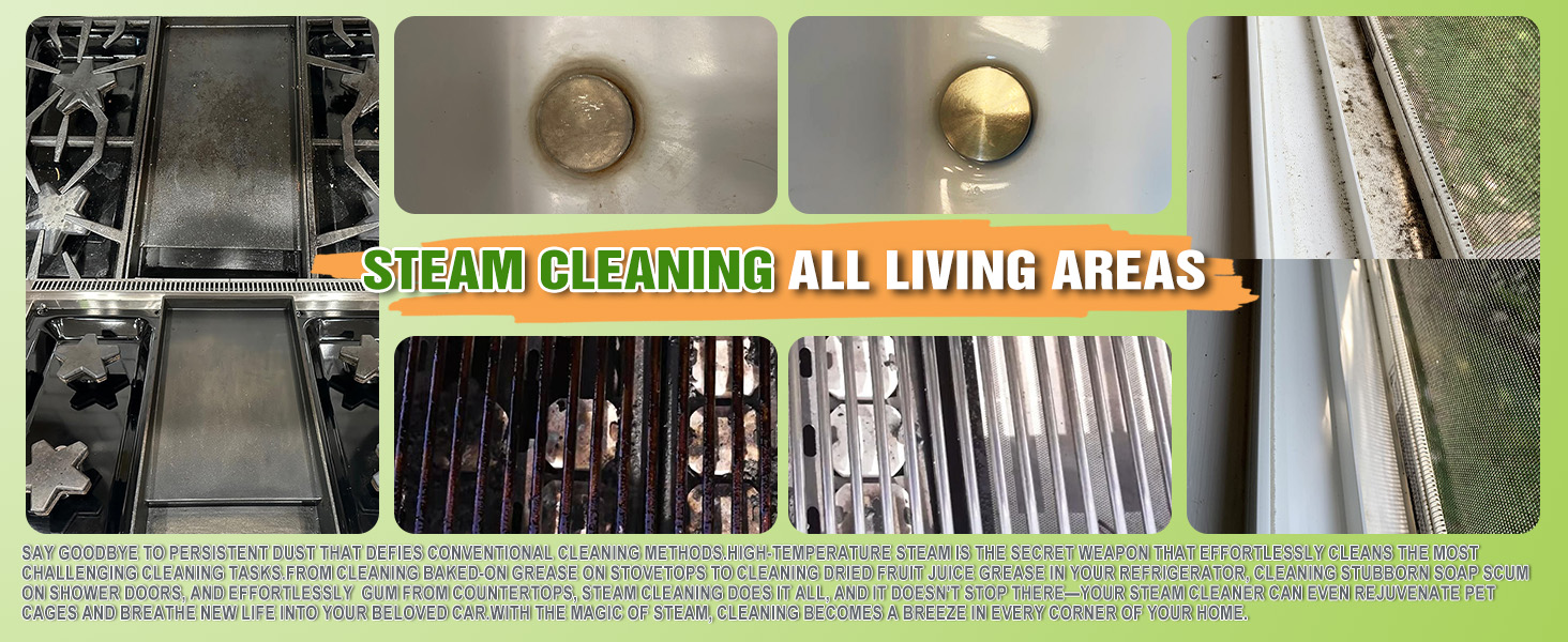 Steam Cleaning All Living Areas