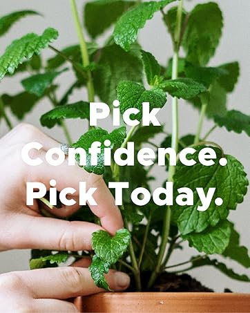 flavored floss picks mint