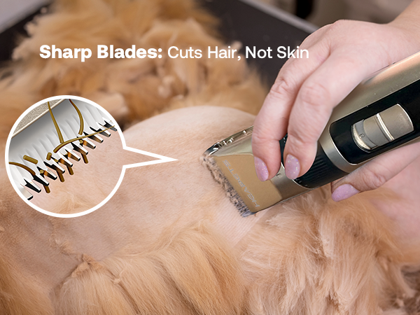 Dog Clippers for Grooming