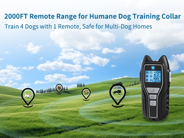 dog shock collar with remote control 4