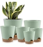 YNNICO Indoor Self Watering Planters with Drainage Holes and Saucers, 8, 7, 6.5, 6, 5.5, 5 Inches...