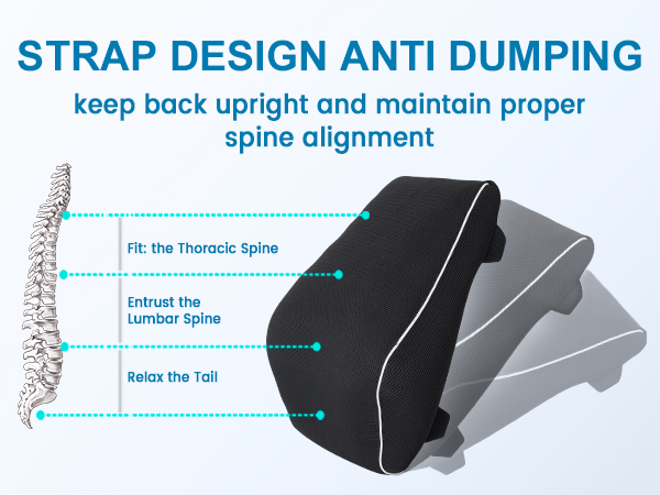 back support for office chair,lumbar support pillow for car
