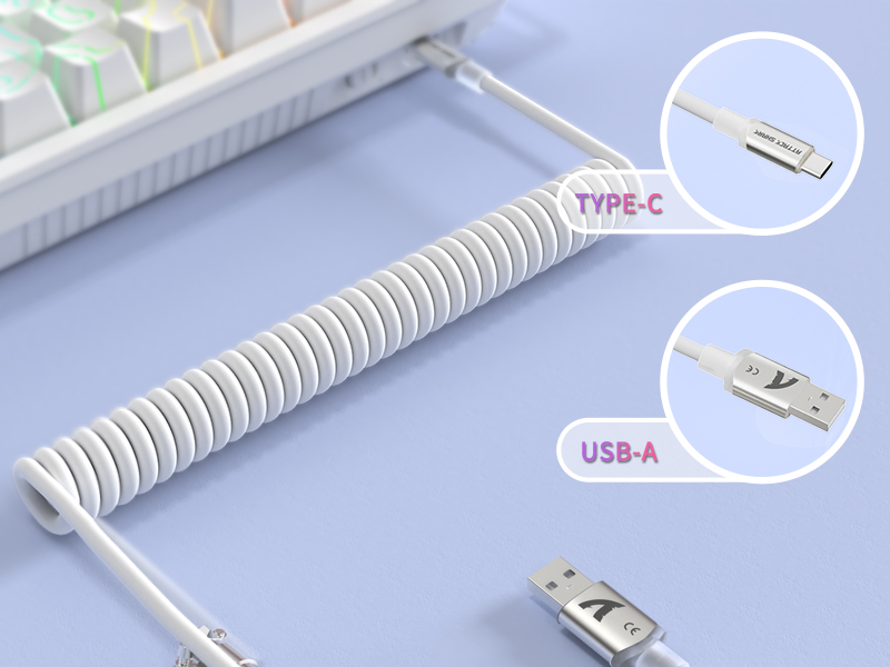 USB-C to USB-A Connection
