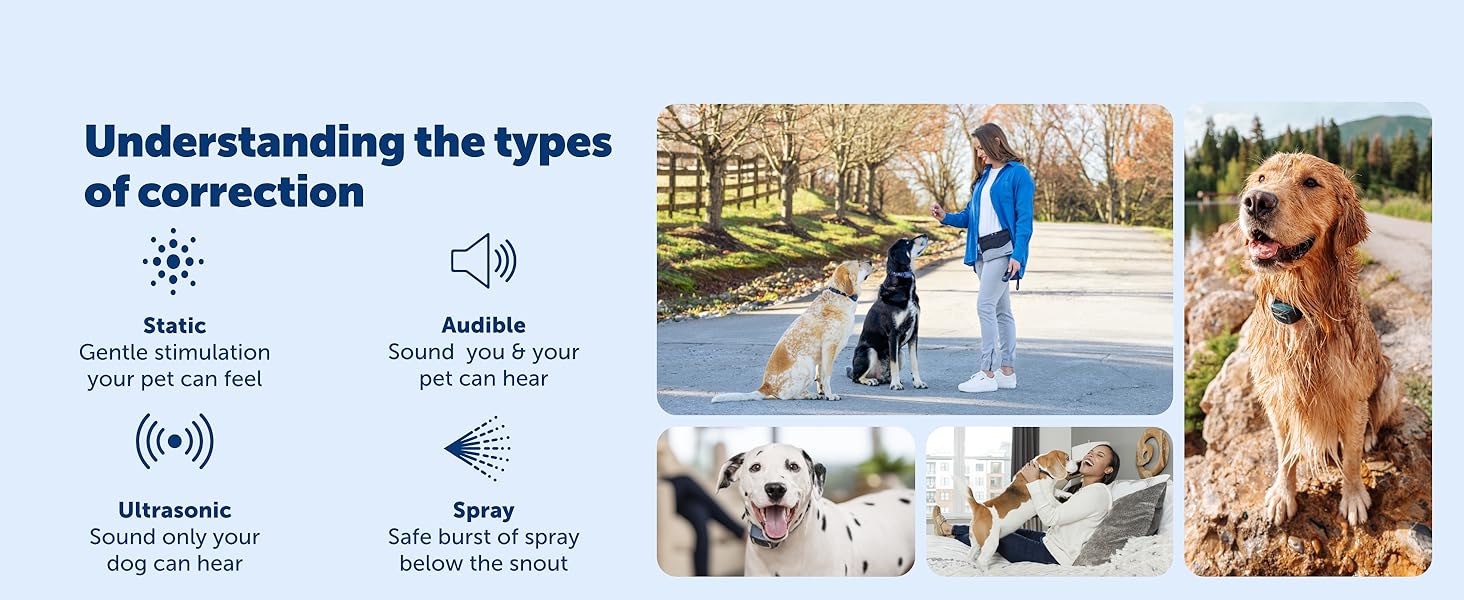 PetSafe Remote Training and Bark understanding the correction types static audible vibration spray