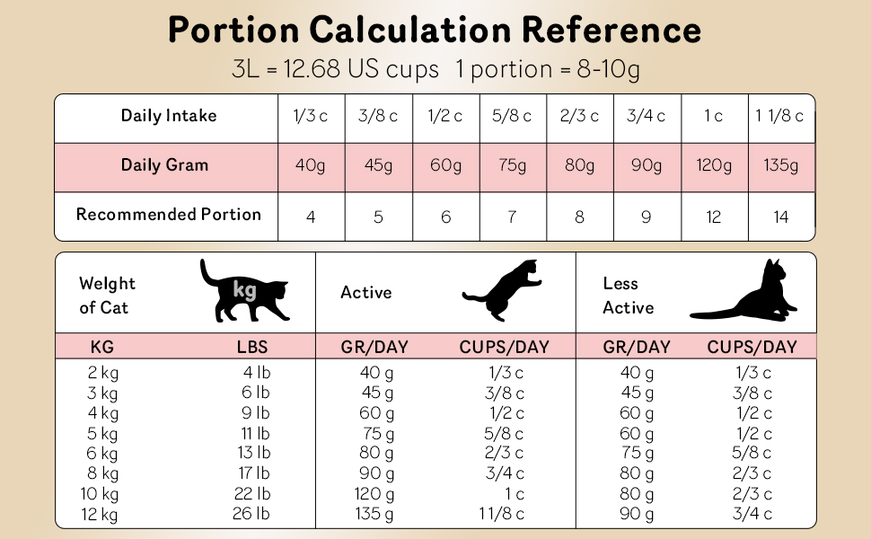 automatic cat feeder