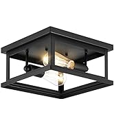 Drosbey 2-Light Flush Mount Ceiling Light Fixture, Farmhouse Light Fixtures, Industrial Vintage C...